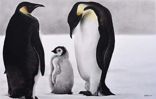 Dan Pyle Family