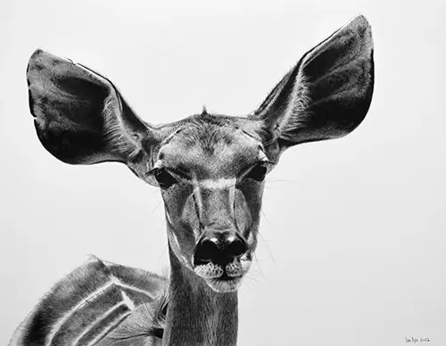 Dan Pyle A Good Listener