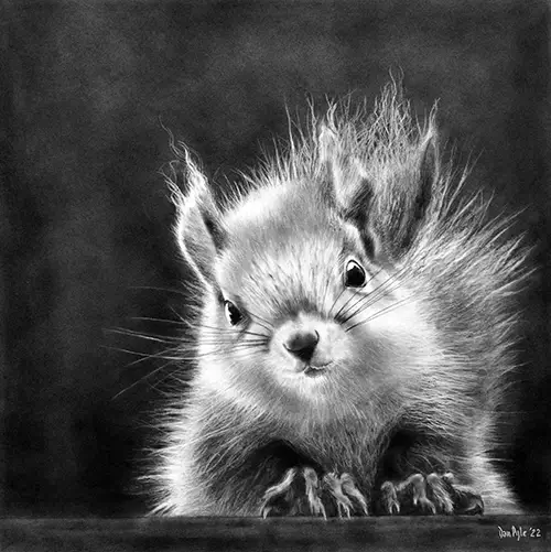 Dan Pyle Just Curious