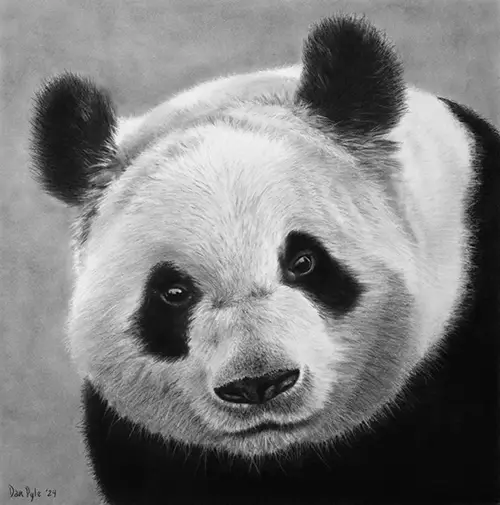 Dan Pyle An Exotic Creature