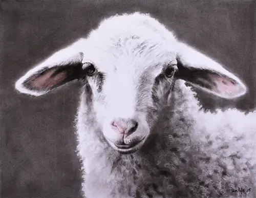 Dan Pyle Fleece