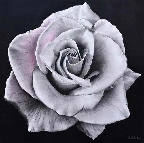 Dan Pyle Rose Antithesis Diptych Panel 1