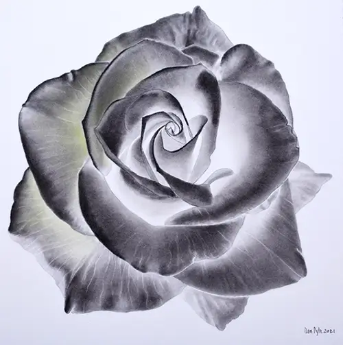 Dan Pyle Rose Antithesis Diptych Panel 2