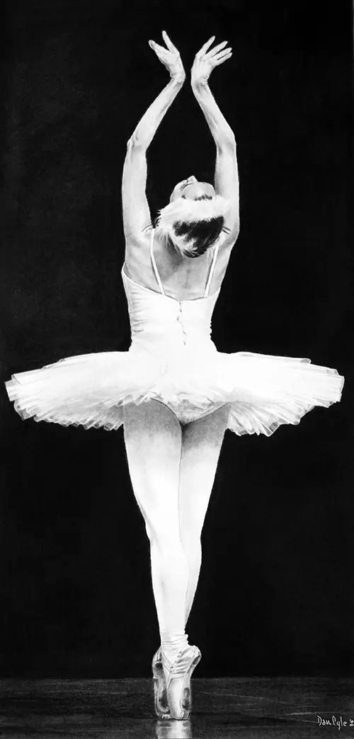 Dan Pyle Swan