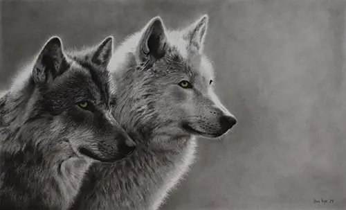 Dan Pyle Wolf Point